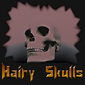 HAIRY SKULLS - Cherche Chanteur & Guitariste profile picture