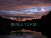 WINGS TO FALL profile picture