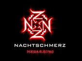 NACHTSCHMERZ (poesia electro dark) profile picture