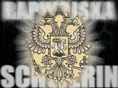 RAPWOJSKA SUPPORT profile picture