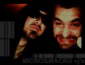 micro_macro_vj