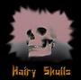 HAIRY SKULLS - Cherche Chanteur & Guitariste profile picture