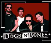 DOGS N BONES profile picture