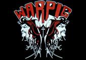 WARPIG profile picture