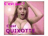 Quixotte profile picture