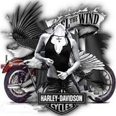 harleylady218