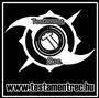 TESTAMENT REC. NINCS MEGÃLLÃS VIDEOKLIP! profile picture