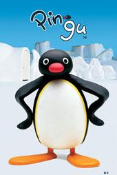 pinguthepenguin