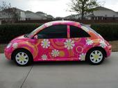 pinkflowerbug