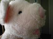 Pig Boy profile picture