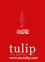 Tulip Toy Gallery profile picture