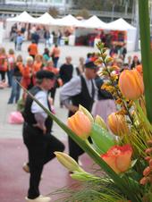 Dutch Orange Day profile picture