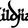 Zildjian Serbia profile picture