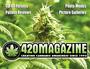 420 MAGAZINE profile picture