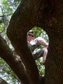 guy-IN-A-tree profile picture