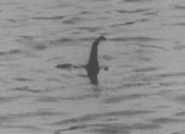 Loch ness monster profile picture