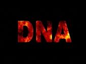 DNA profile picture