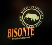 Bisonte Producciones profile picture