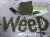 the_official_weed_myspace