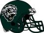 Green Bay Blizzard profile picture