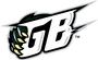 Green Bay Blizzard profile picture