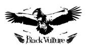 Black Vulture profile picture