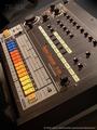 TR-808 profile picture