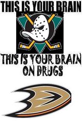 bring back the mighty ducks!! profile picture