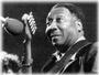 Muddy Waters profile picture