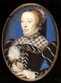 Charles IX of France profile picture