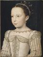 Charles IX of France profile picture