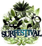 Surfestival profile picture