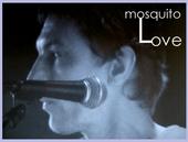 Mosquito Love profile picture