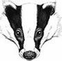 Badger profile picture