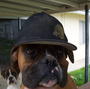 Chopper profile picture