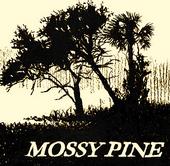 Mossy Pine profile picture