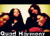 Quad Harmony profile picture