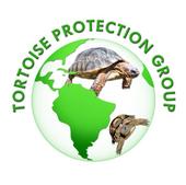 Tortoise Protection Group profile picture