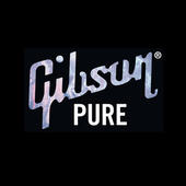 Gibson profile picture