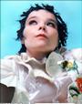 Bjork profile picture