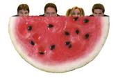 H2O Melons profile picture