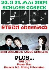 SCHLOSS GOSECK *Musik & Theater* profile picture