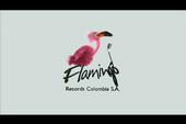 FLAMINGO TV profile picture