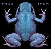 frogtron