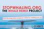 Stopwhaling.org profile picture