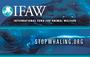 Stopwhaling.org profile picture