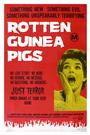 Rotten Guinea Pigs profile picture