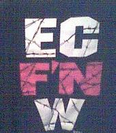 ecw25