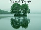 Perpetual Thought profile picture