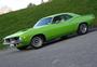 NZ440R/T profile picture